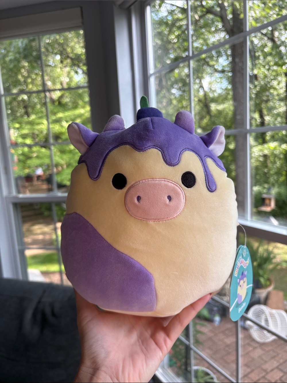 Benito the blueberry muffin cow squishmallow NWT 8in